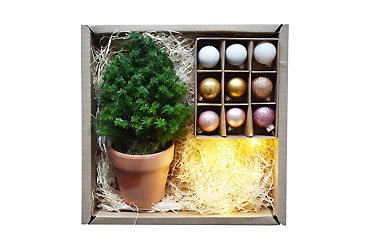 Goy greenlife - Weihnachten und Jahresende - Miniweihnachtsbaum Geschenkbox