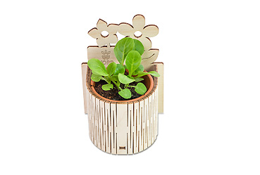 Goy greenlife - Ostern und Frühling -  Minigarten - Blümchen