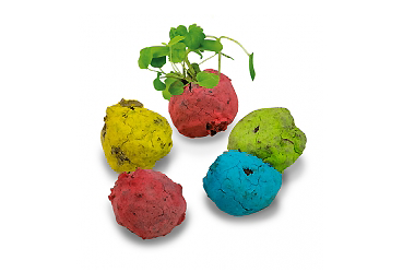 Goy greenlife - Pflanzen und Samen - Bunte Mini Flower-Balls