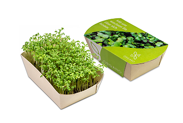 Goy greenlife - Pflanzen und Samen - Microgreens-Gärtchen