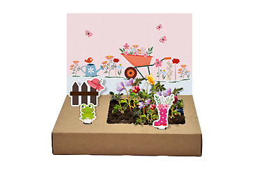 Goy greenlife - Pflanzen und Samen - Mini-Garten Blütenpracht