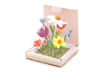 Goy greenlife - Pflanzen und Samen - Pflanzkästchen