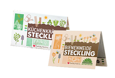 Goy greenlife - Pflanzen und Samen -  Steckling